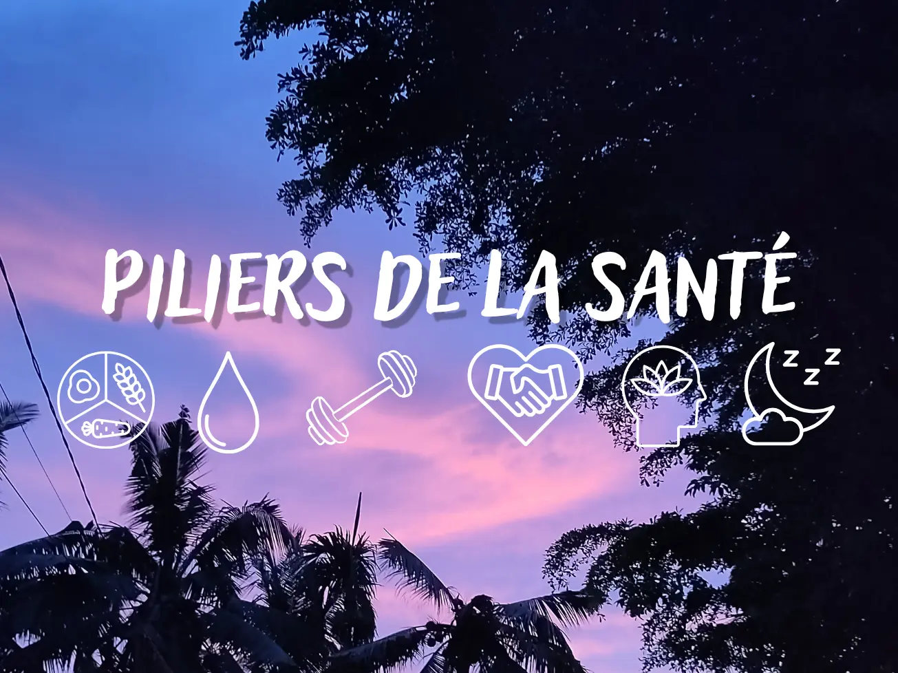 Les piliers de la santé